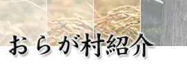 ���炪���Љ�